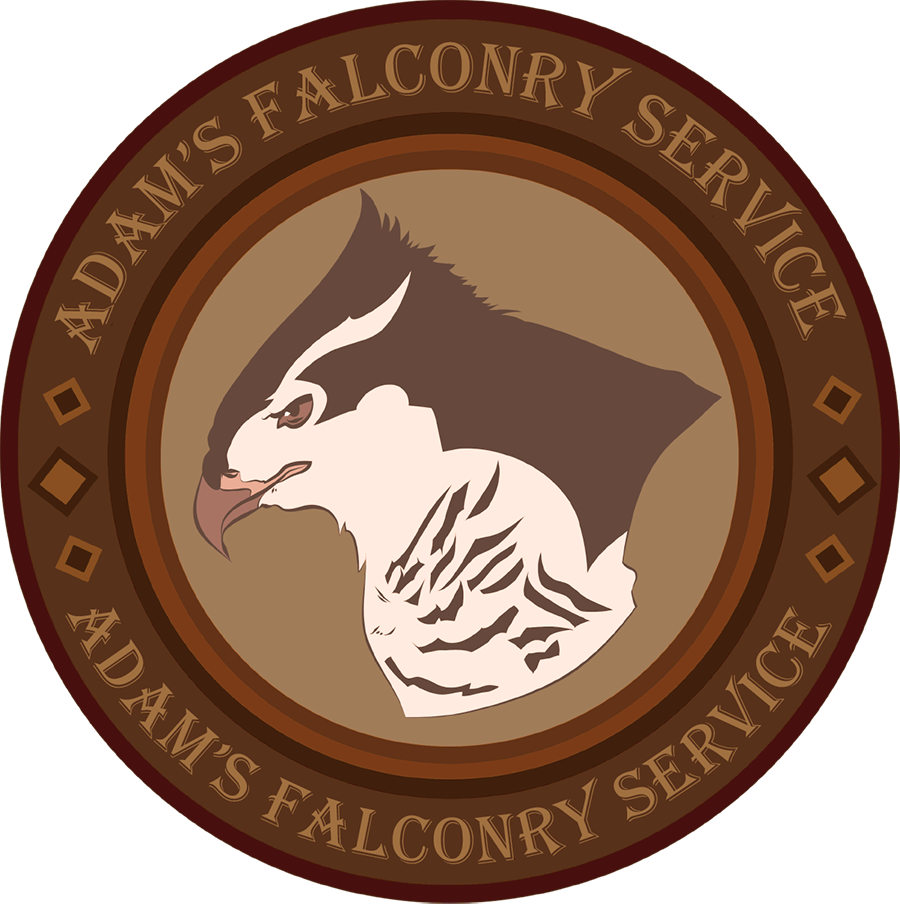 Adam's Falconry Service